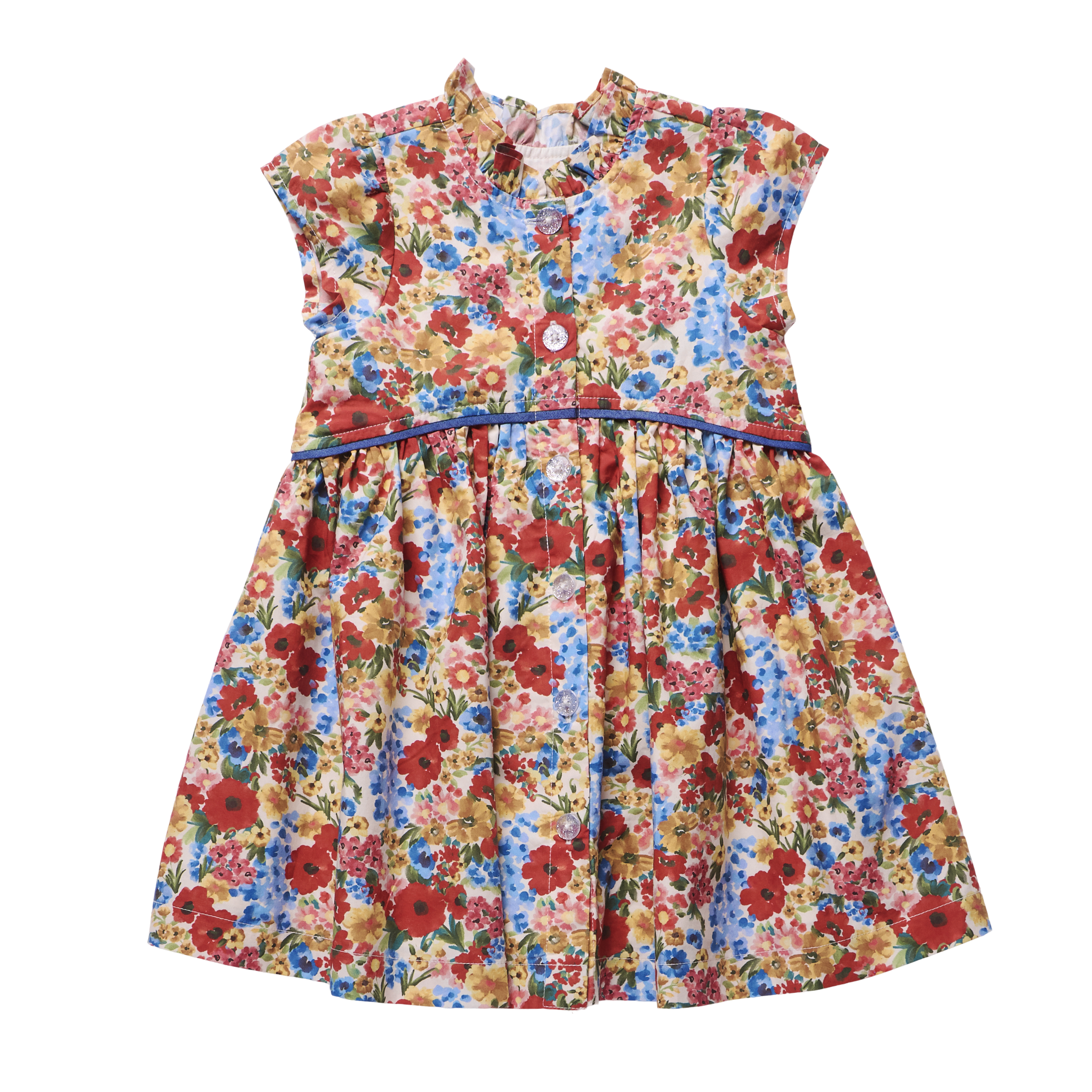 Pink Chicken Girls Fatima Dress - Watercolor Meadow