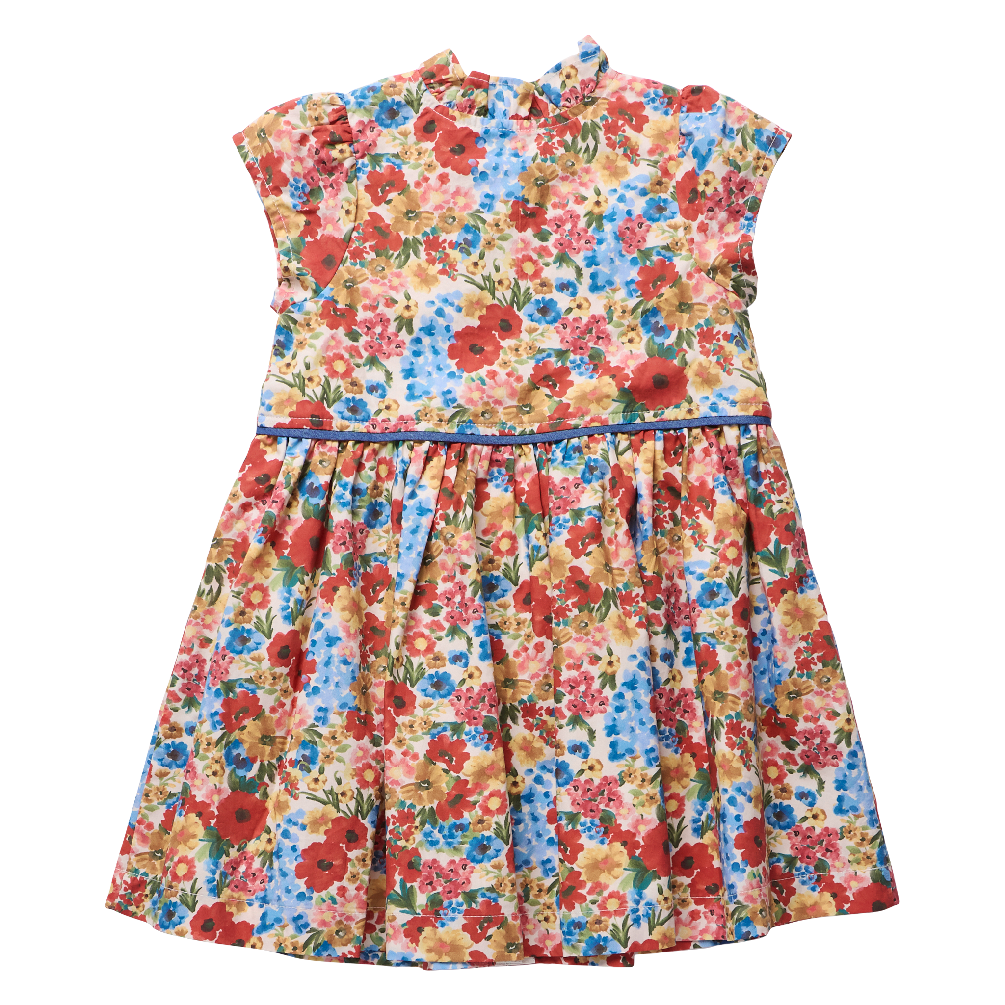 Pink Chicken Girls Fatima Dress - Watercolor Meadow
