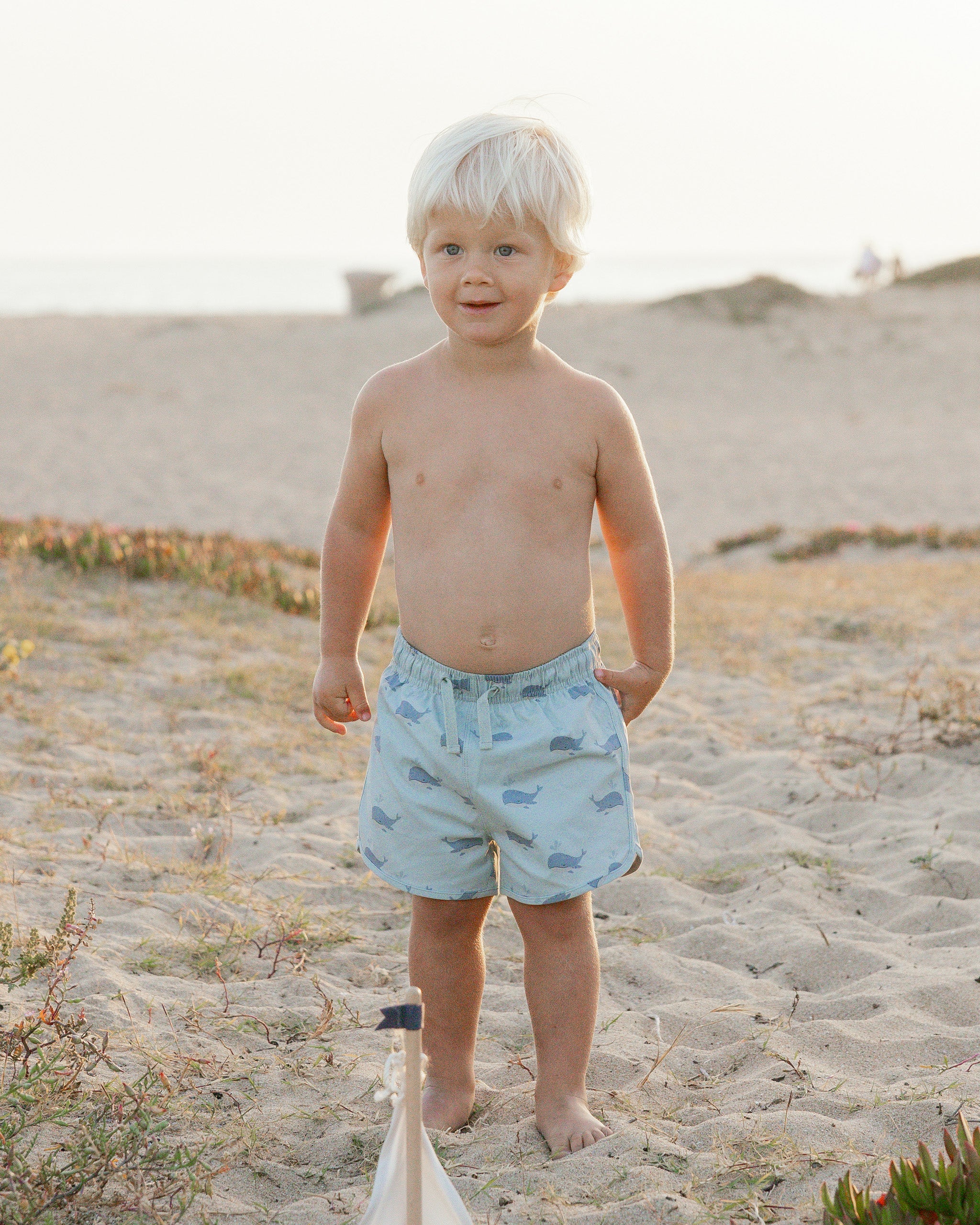 Rylee + Cru Swim Trunk - Whales