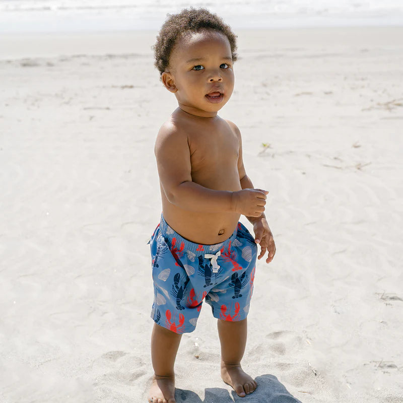 Pink Chicken Baby Boys Swim Trunk - Lobsters and Clams