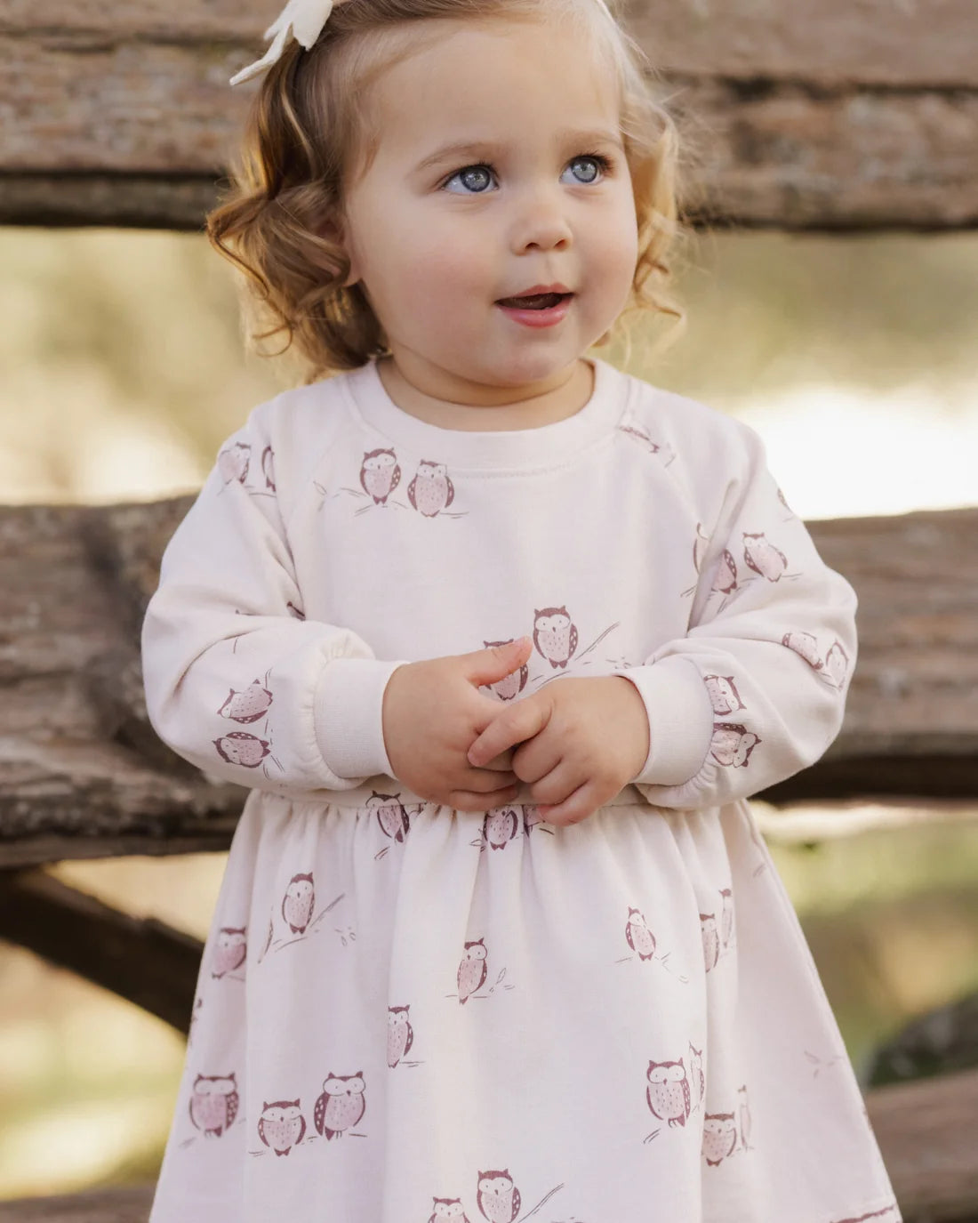 Rylee + Cru Raglan Dress - Owls