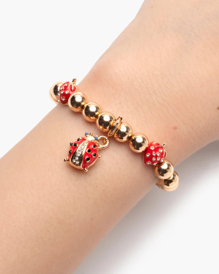 Super Smalls Lucky Ladybug Super Charm