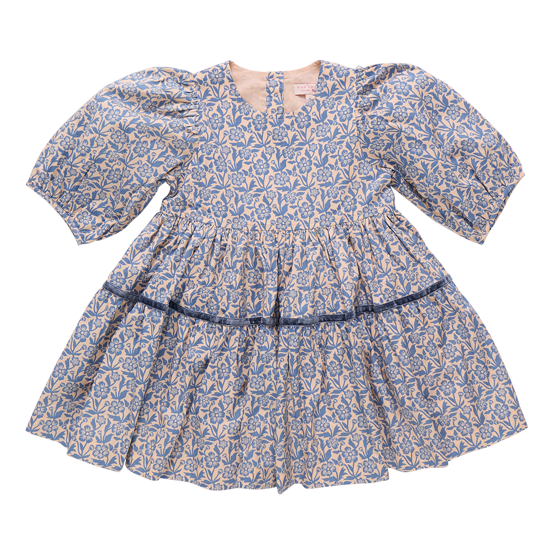 Pink Chicken Girls Maribelle Dress - Blue Climbing Floral