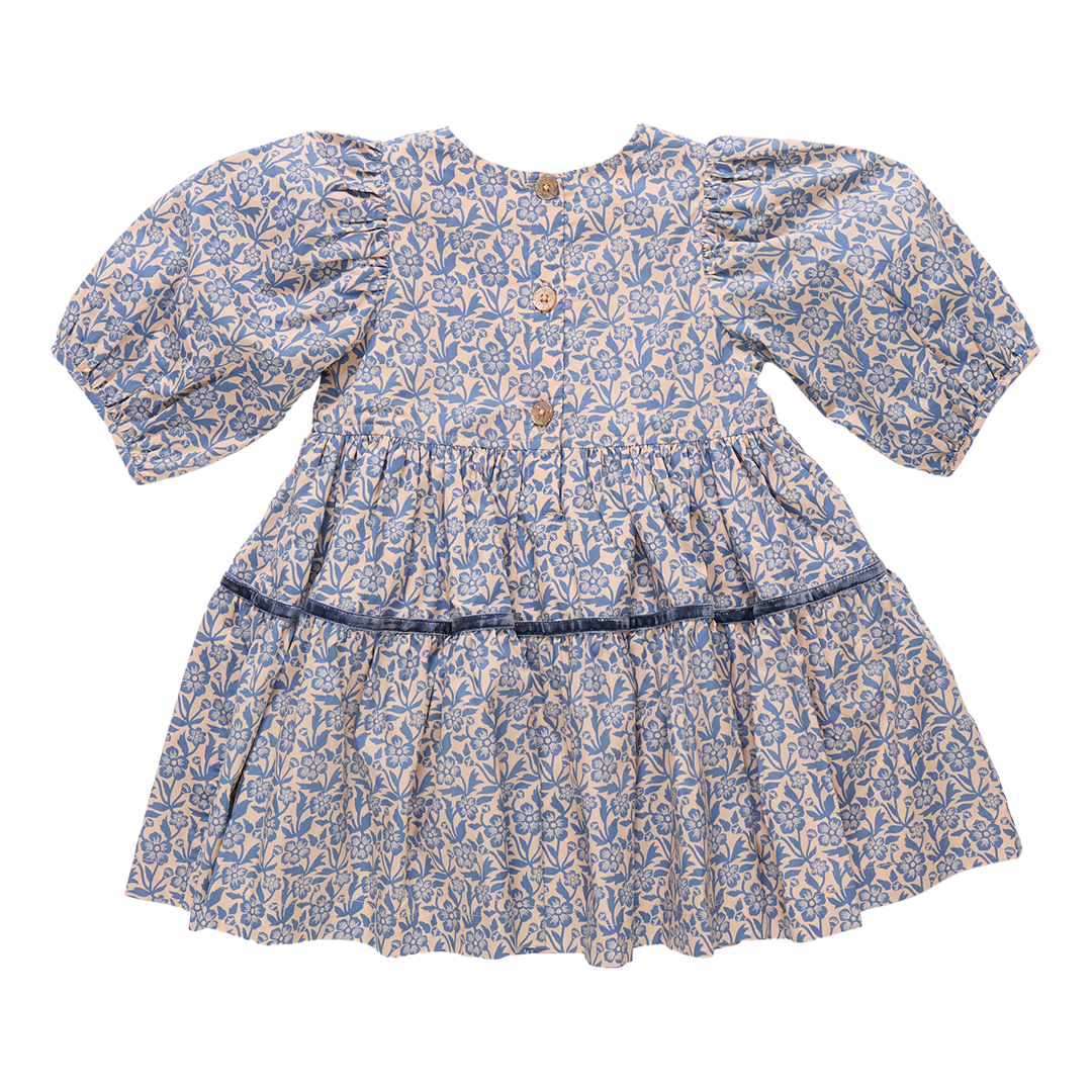 Pink Chicken Girls Maribelle Dress - Blue Climbing Floral