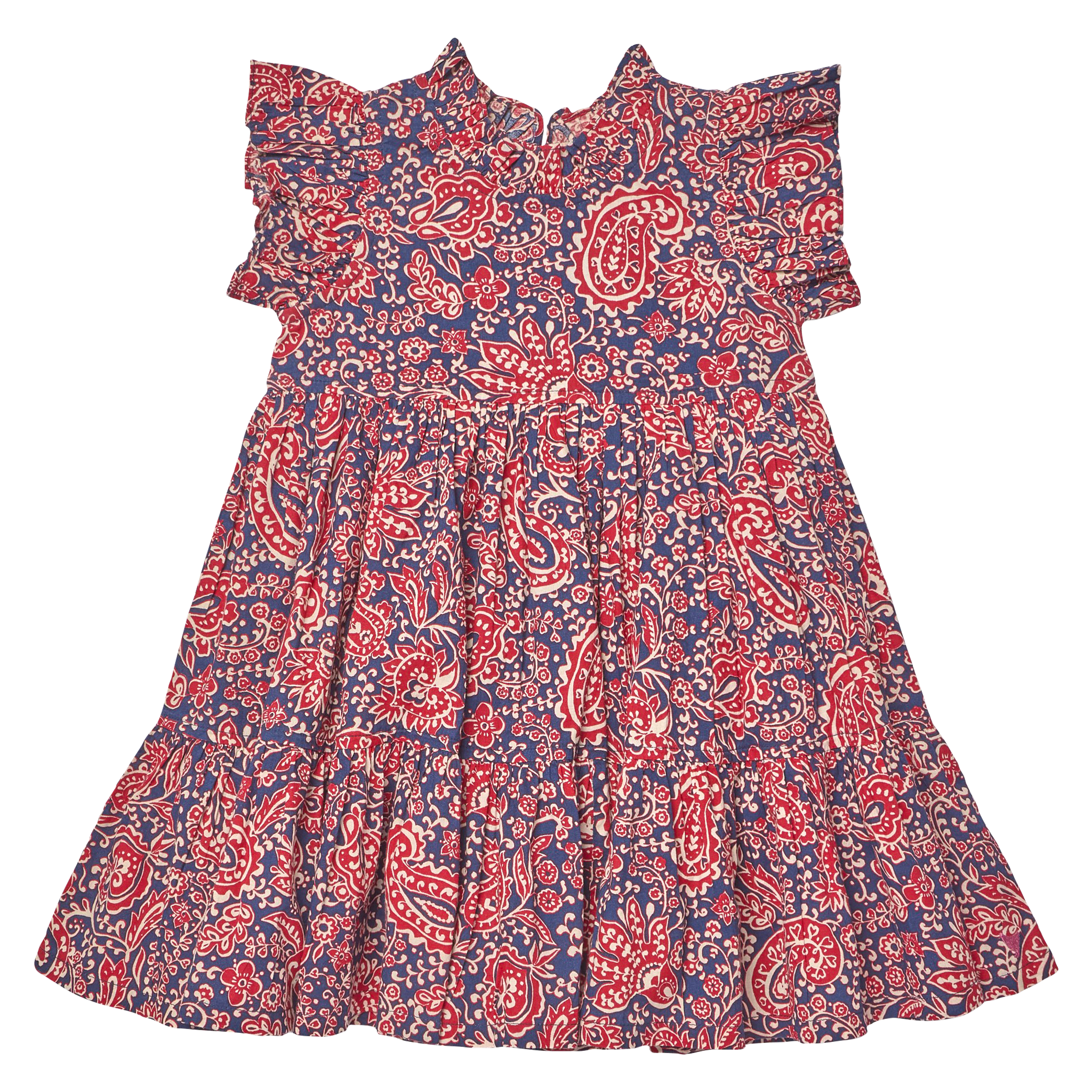 Pink Chicken Girls Jennifer Dress - Paisley Vines