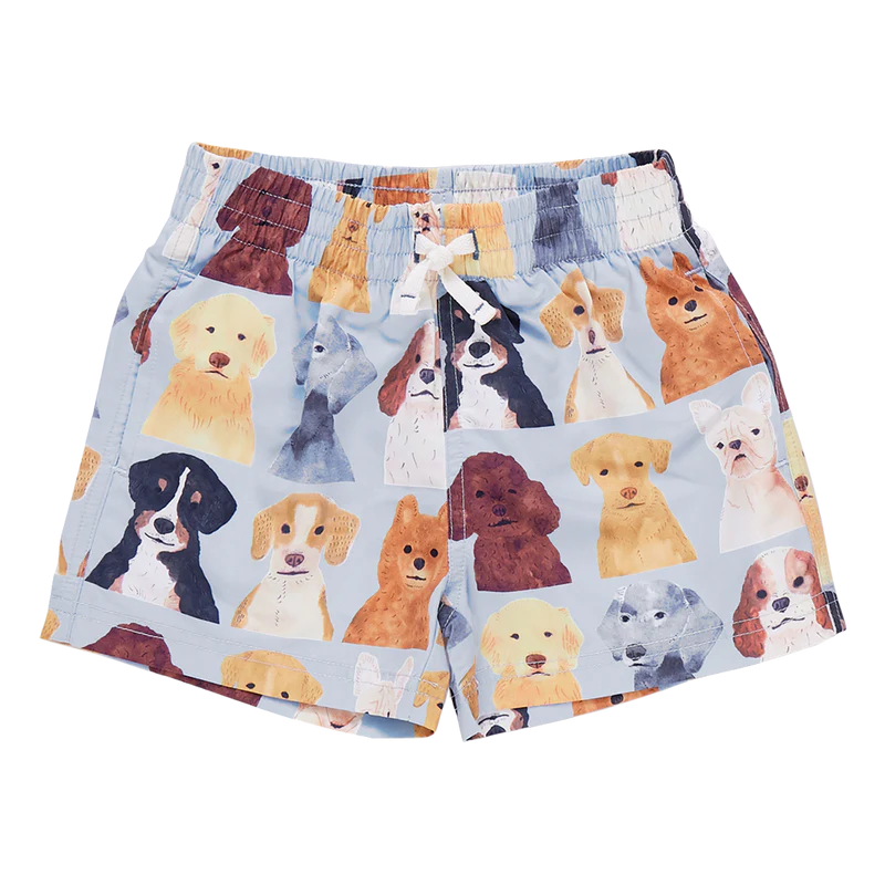 Pink Chicken Baby Boys Swim Trunk - Light Blue Watercolor Dogs