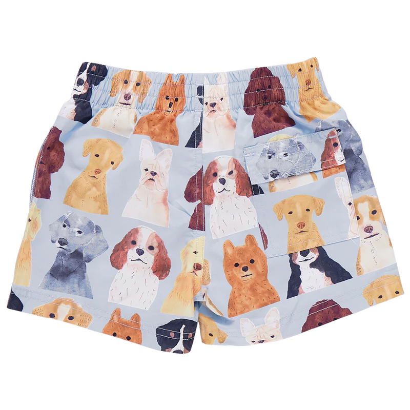 Pink Chicken Boys Swim Trunk - Light Blue Watercolor Dogs