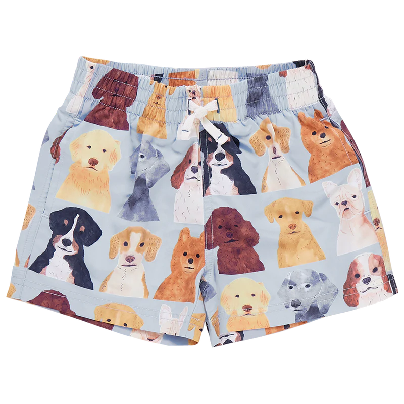 Pink Chicken Boys Swim Trunk - Light Blue Watercolor Dogs