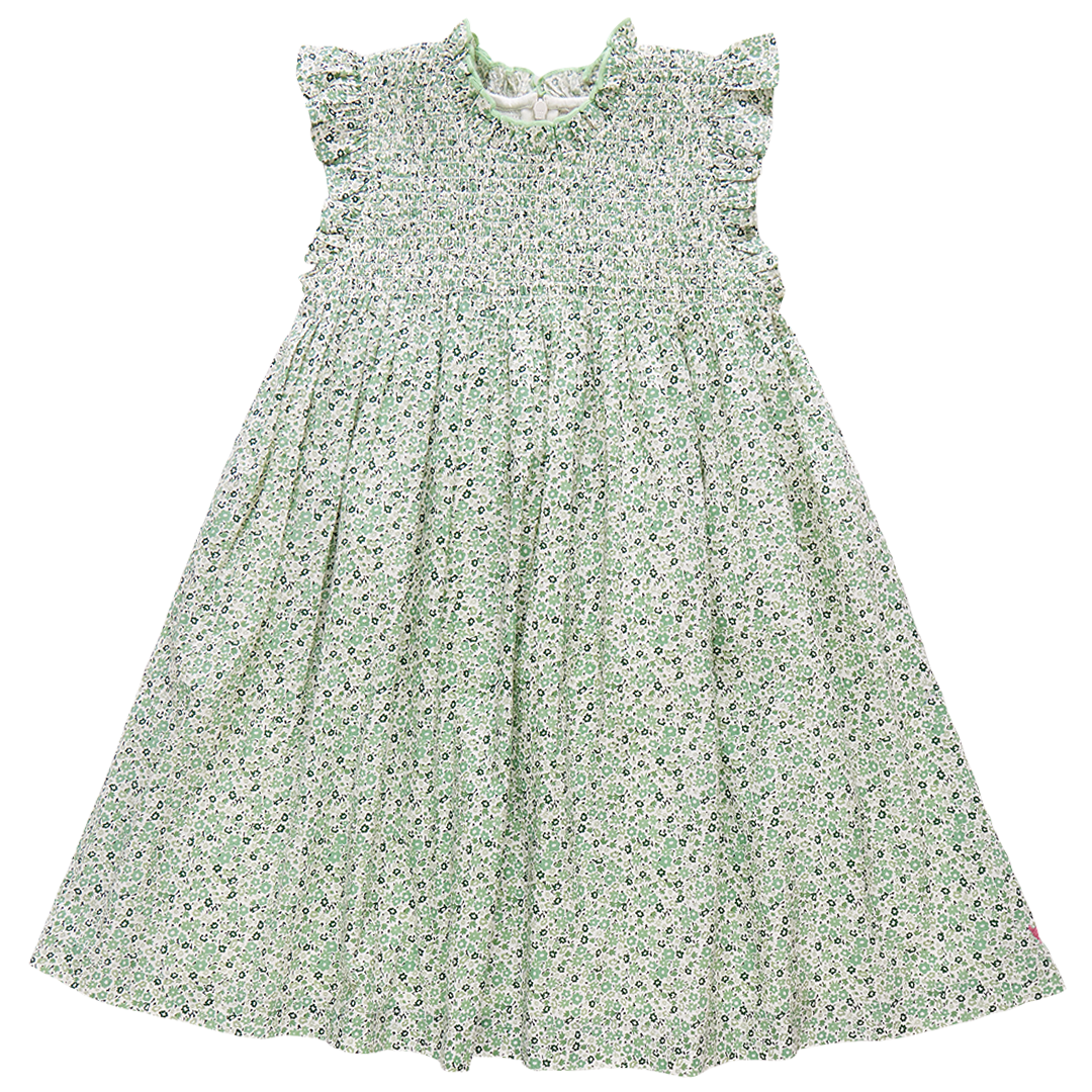 Pink Chicken Girls Stevie Dress - Green Mini Ditsy