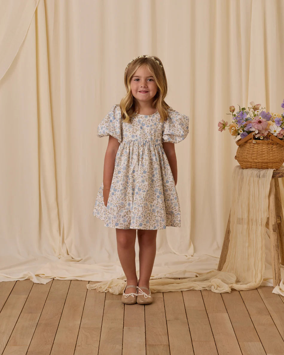 Noralee Luna Dress - Blue Garden