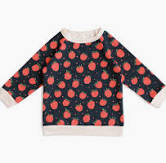 Winter Water Factory Sweatshirt - Raspberries Night Sky