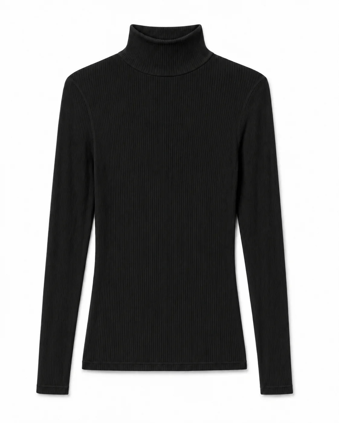 perfectwhitetee Tati Rib Turtleneck - Black